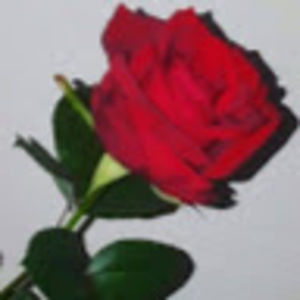 Meet your Posher, Pandora